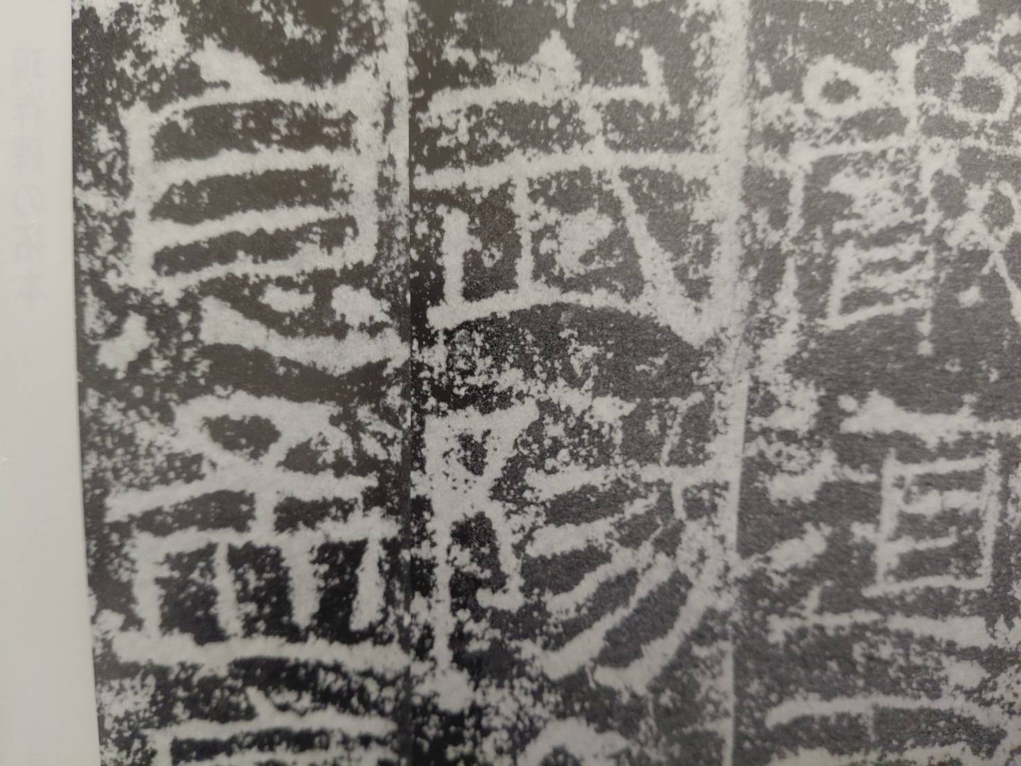 大分