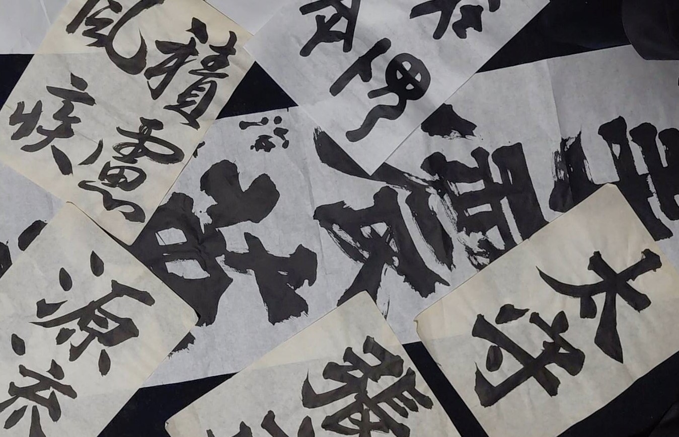 当教室の魅力。専門的な指導で成長